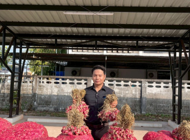 สำนักงานสหกรณ์จังหวัดหนองคายกระจายหอมแดง(ปึ๋ง) ... พารามิเตอร์รูปภาพ 42